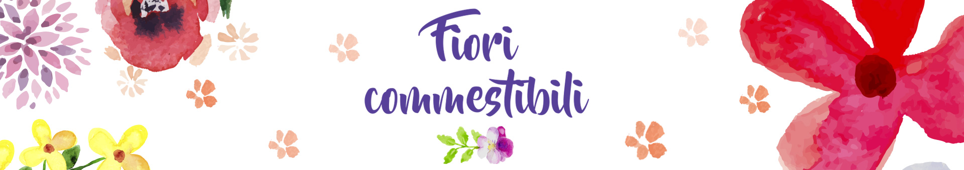 Fiori commestibili biologici